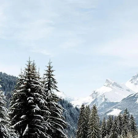 En Front De Neige A Flaine, Ideal Pour Skieurs, 4 Pers, Animaux Admis Apartment